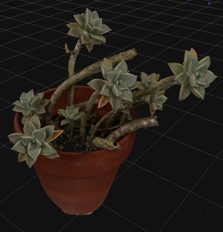 Click image for larger version

Name:	Strange_Plant_3D_Flow_01.jpg
Views:	202
Size:	68.4 KB
ID:	2322