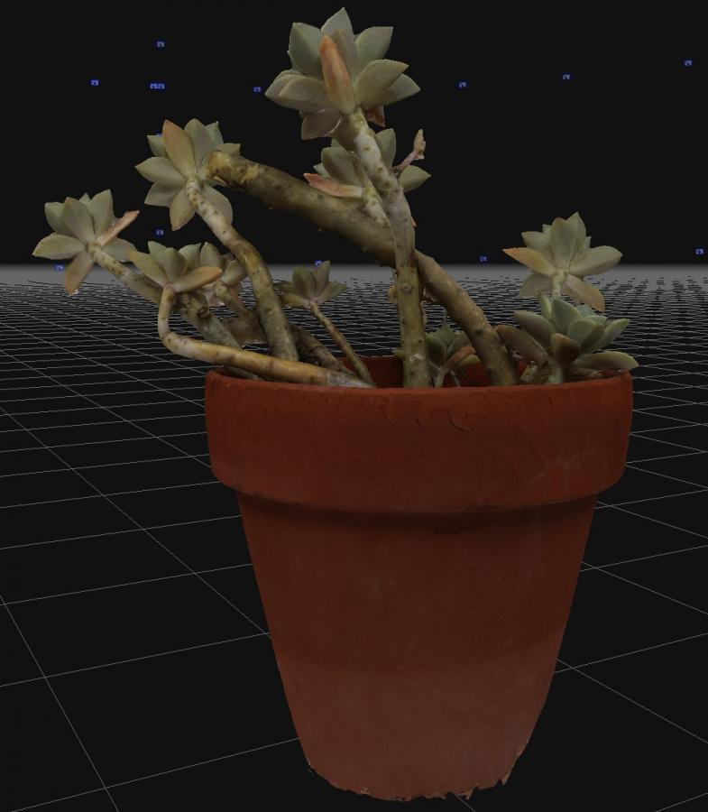 Click image for larger version

Name:	Strange_Plant_3D_Flow_02.jpg
Views:	198
Size:	54.7 KB
ID:	2324
