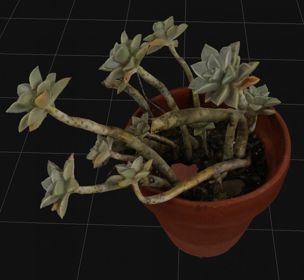 Click image for larger version

Name:	Strange_Plant_3D_Flow_03.jpg
Views:	198
Size:	65.8 KB
ID:	2325