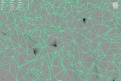 Screenshot 2023-02-16 200606.png