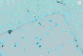 Screenshot 2023-02-16 211146.png