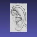 High-detailed left-ear generated with 3DF from videos taken with mobile phone