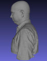 Left-part of the head and torso model generated with 3DF from photos taken with the photogrammetry rig