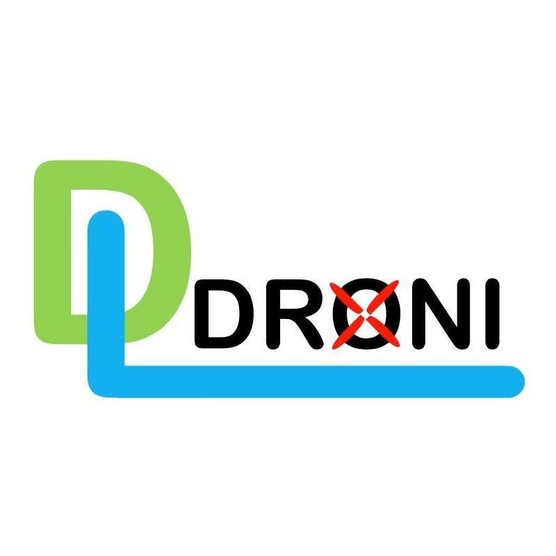 DL Droni Logo