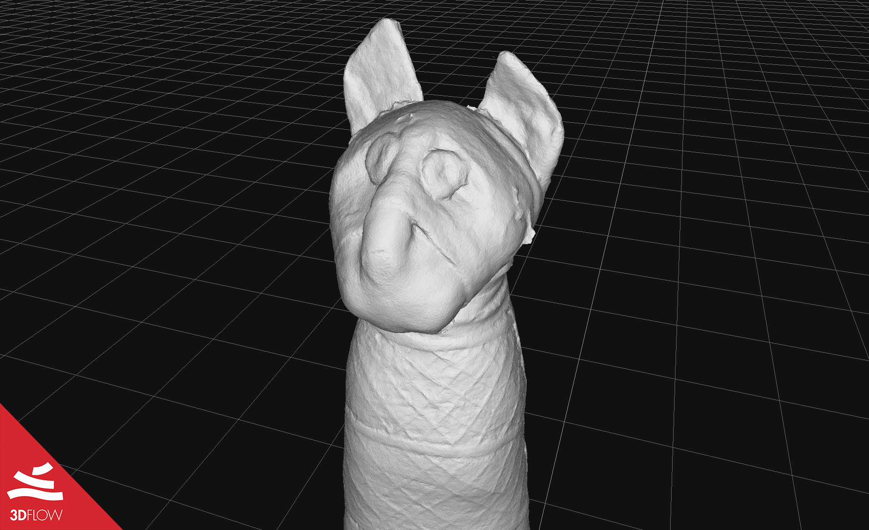 mummy_cat_mesh_geometry_closeup