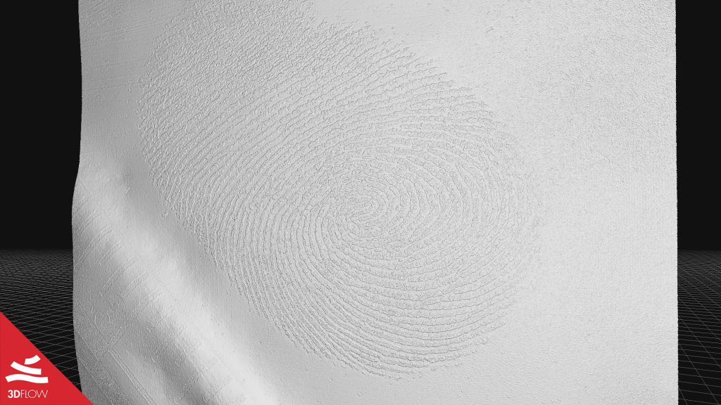 Fig. 5. 3D mesh geometry of the fingerprint. ©3Dflow
