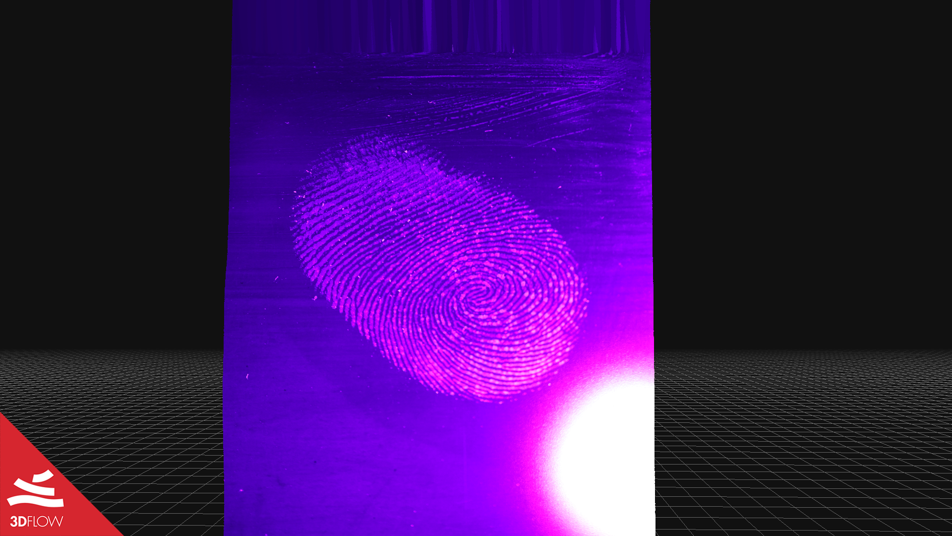 fingerprint_textured_mesh_1