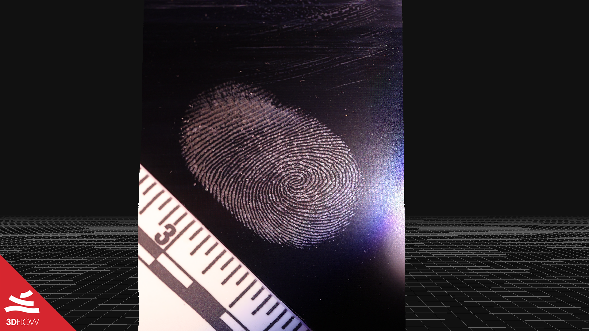 fingerprint_textured_mesh_2