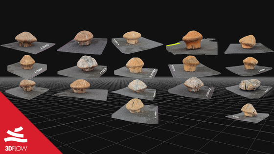 forensics_project_3df_zephyr_grid